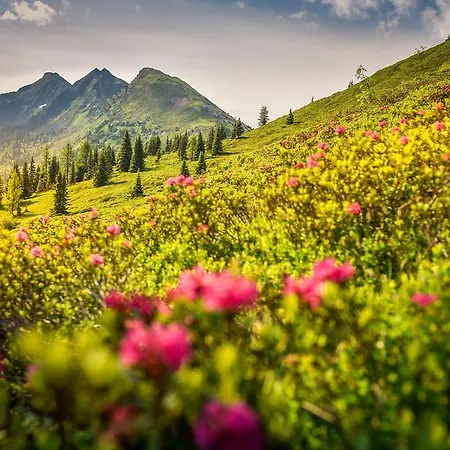 아파트호텔 Ramsau