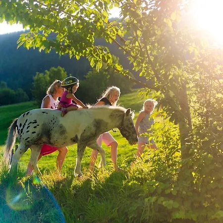 Aparthotel Ramsau 3*